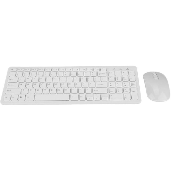 1729506497 51FOm8ckt2L. AC SL1001