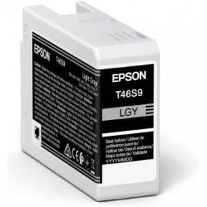 Cartucho tinta epson singlepack light gris